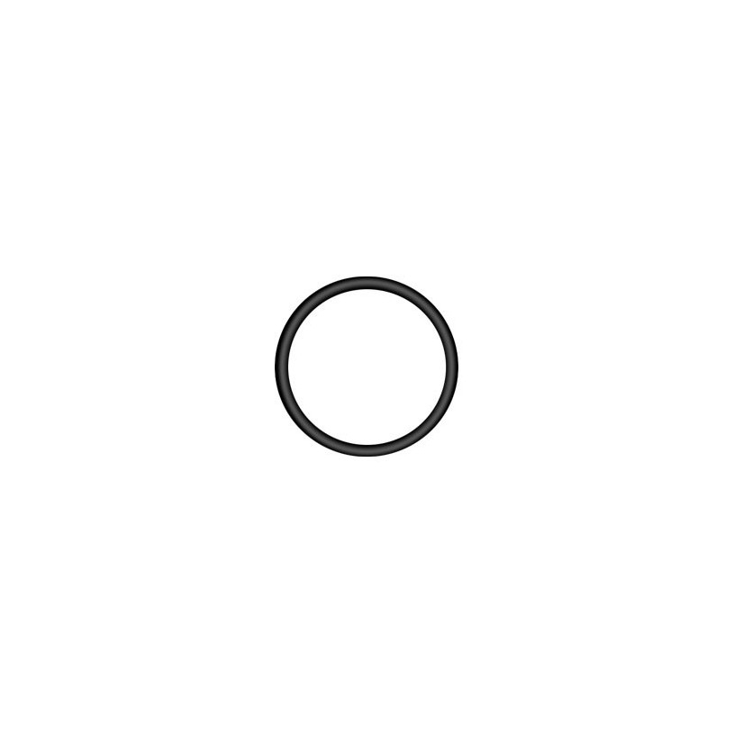 Joint torique, 3,53 mm x 47,63 mm Vi 70