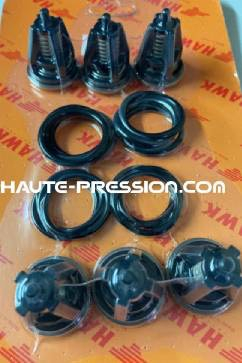 Kit de clapet HAWK référence 1.905-686.0 (260010) - KIT COMPLETE CHECK VALVE (XLT-XLTI)