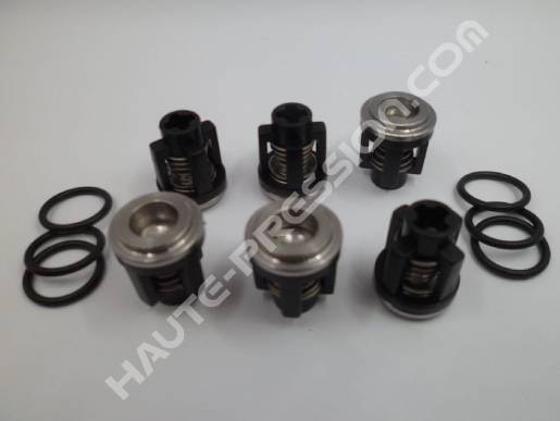 KIT 84, ensemble de 6 clapets + 6 Joints - Référence article 049848973
