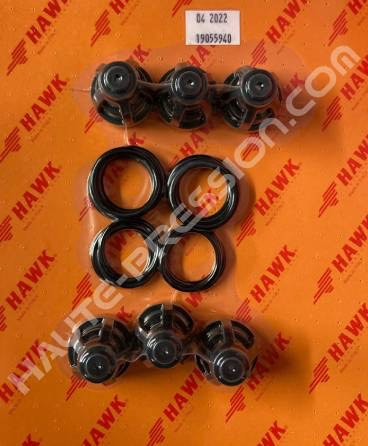 Kit de clapet HAWK référence 1.905-594.0 - KIT COMPLETE CHECK VALVE (XXT-MXT)