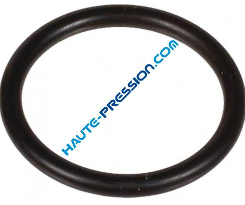 Joint torique BERTOLINI 803262002 - 3,53 X 41,28 mm
