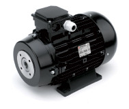 Moteur électrique triphasé 7,7 HP avec joint élastique
