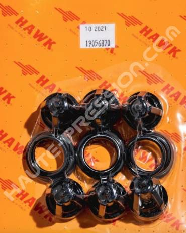 Kit de clapet HAWK référence 1.905-687.0 - COMPLETE CHECK VALVE KIT 300 BAR (XLT-XLTI)