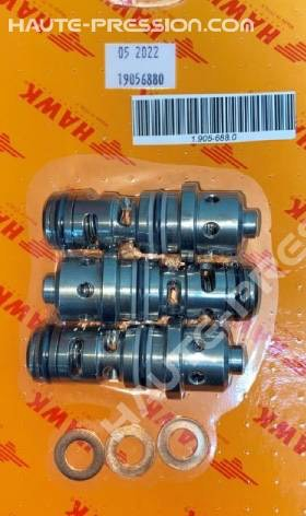 Kit de clapet HAWK référence 1.905-688.0 - COMPLETE CHECK VALVES KIT PXI 500 BAR