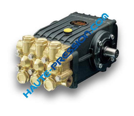 WS201 INTERPUMP