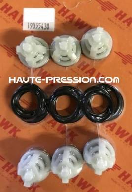 Kit de clapet HAWK référence 1.905-543.0 - NMT-NPM CHECK VALVES KIT